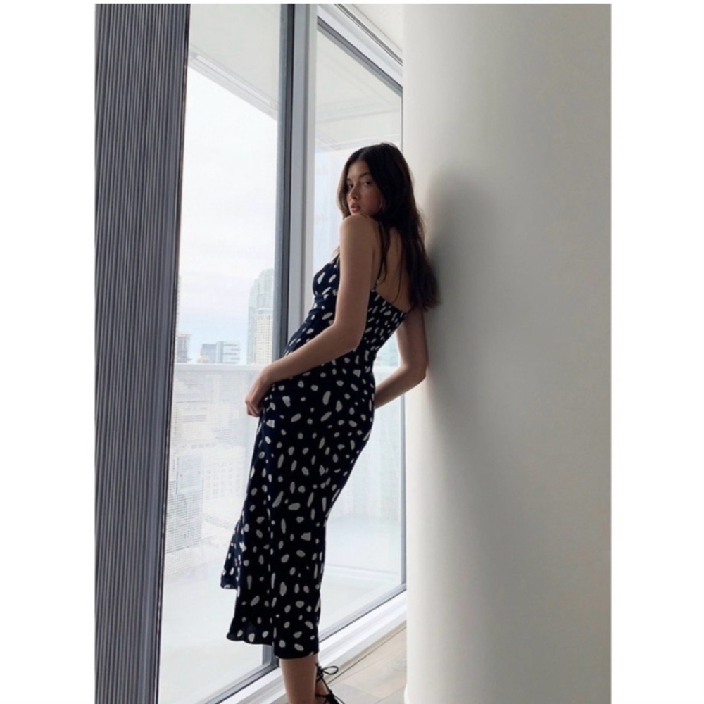 NWT Aritzia Bellow Dress